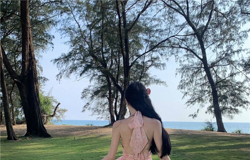 A-Line Back Ruched Floral Print Asymmetrical V-Neck Trim Ruffle Open Halter Dress