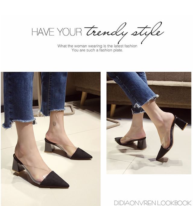 Toe Heel Panel Mules Transparent Pointed Block