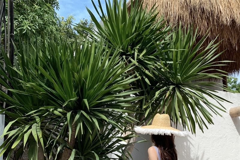 Striped Dress Square Ruffle Strap Spaghetti Sun Neck Maxi