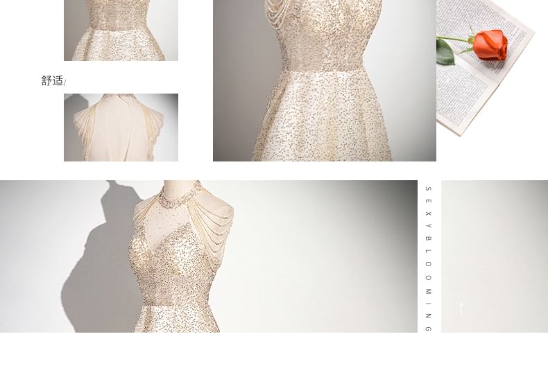 A-Line Glitter Sleeveless Beaded Evening Mesh Gown Neck Mock