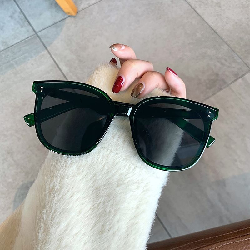 Frame Sunglasses Square