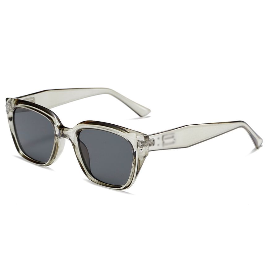 / Cat Sunglasses Glasses Eye