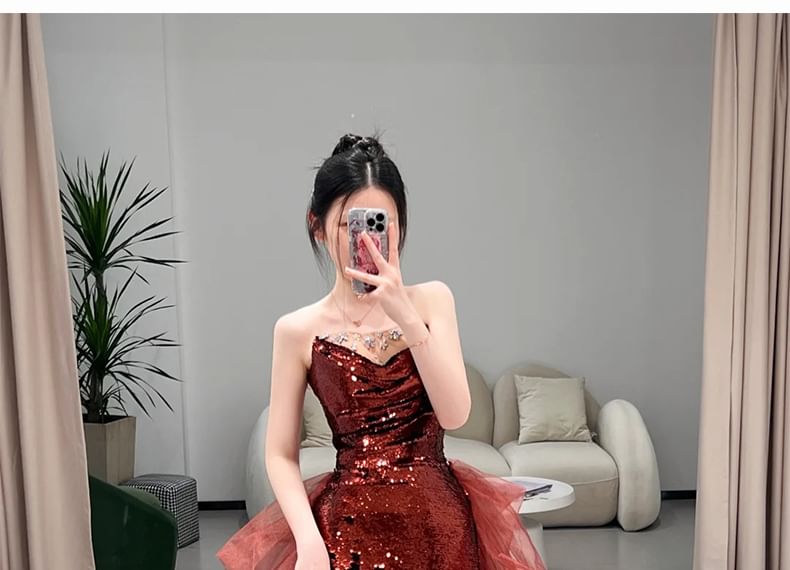 Mesh Panel Evening Plain A-Line Gown Sequin Tube