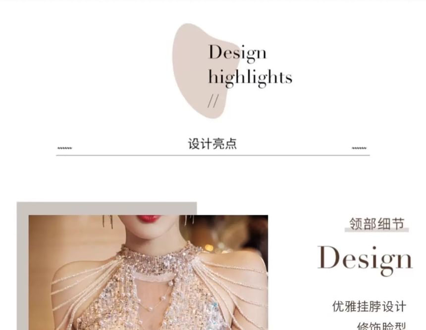 Glitter Gown Sleeveless Panel Sheer Evening Sheath