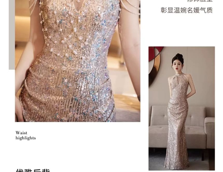 Glitter Gown Sleeveless Panel Sheer Evening Sheath