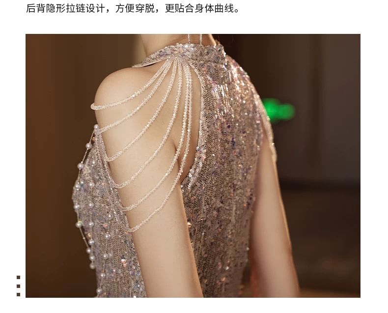 Glitter Gown Sleeveless Panel Sheer Evening Sheath