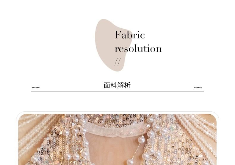 Glitter Gown Sleeveless Panel Sheer Evening Sheath