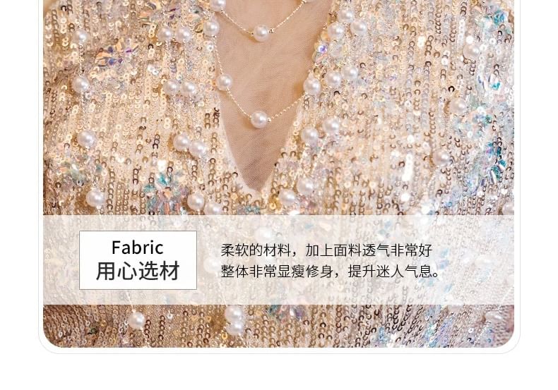 Glitter Gown Sleeveless Panel Sheer Evening Sheath