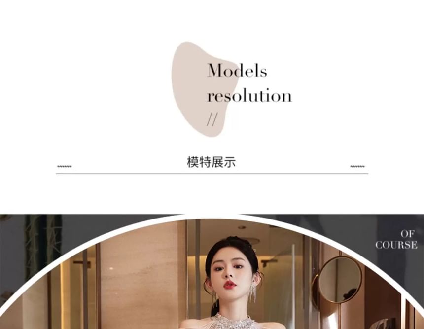 Glitter Gown Sleeveless Panel Sheer Evening Sheath