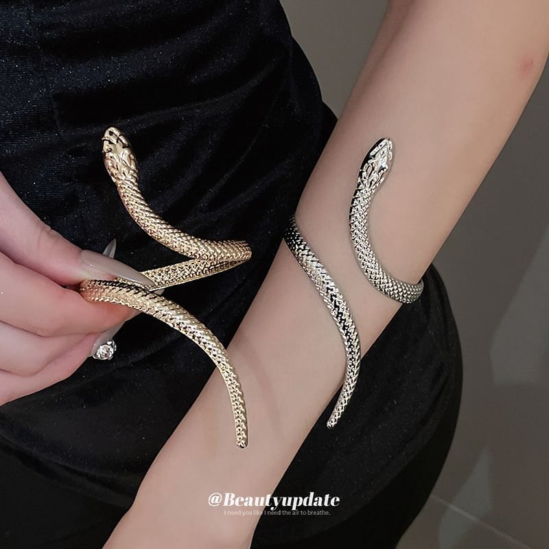 + Snake Ring Set: Bangle