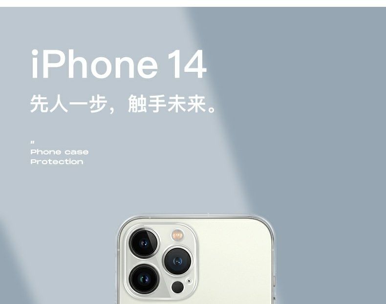 Year Phone Chinese Characters New Case Lunar