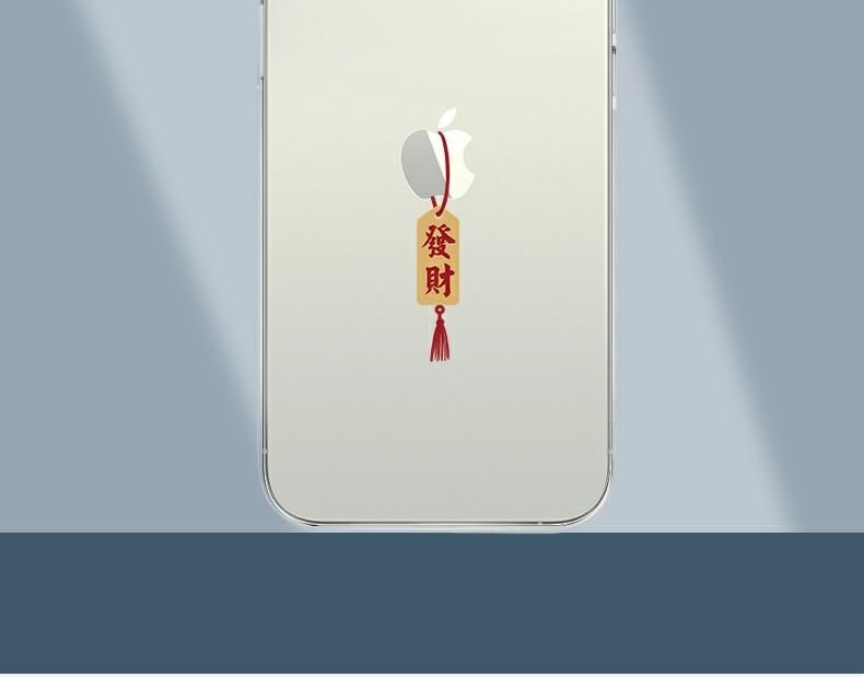 Year Phone Chinese Characters New Case Lunar
