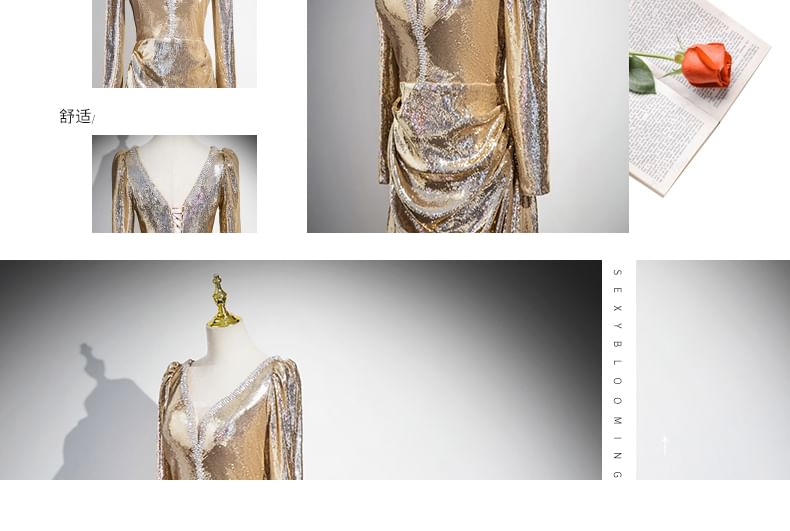 V-Neck A-Line Evening Gown Sequin Long-Sleeve