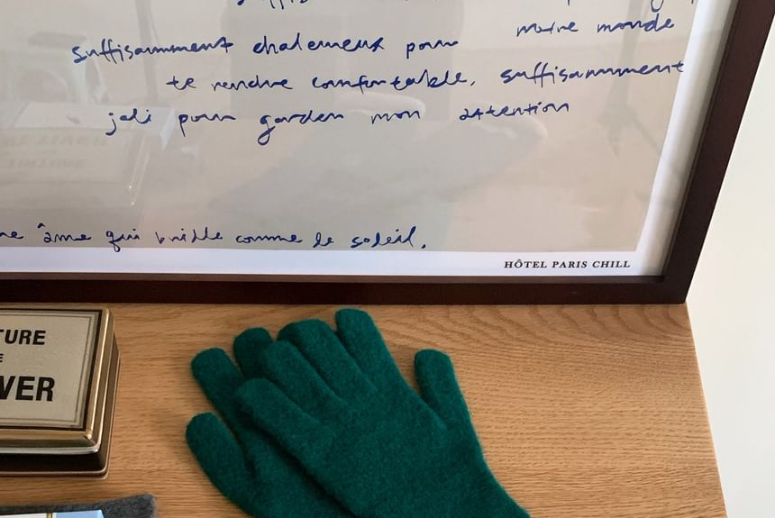 Knit Gloves Trim Contrast Applique