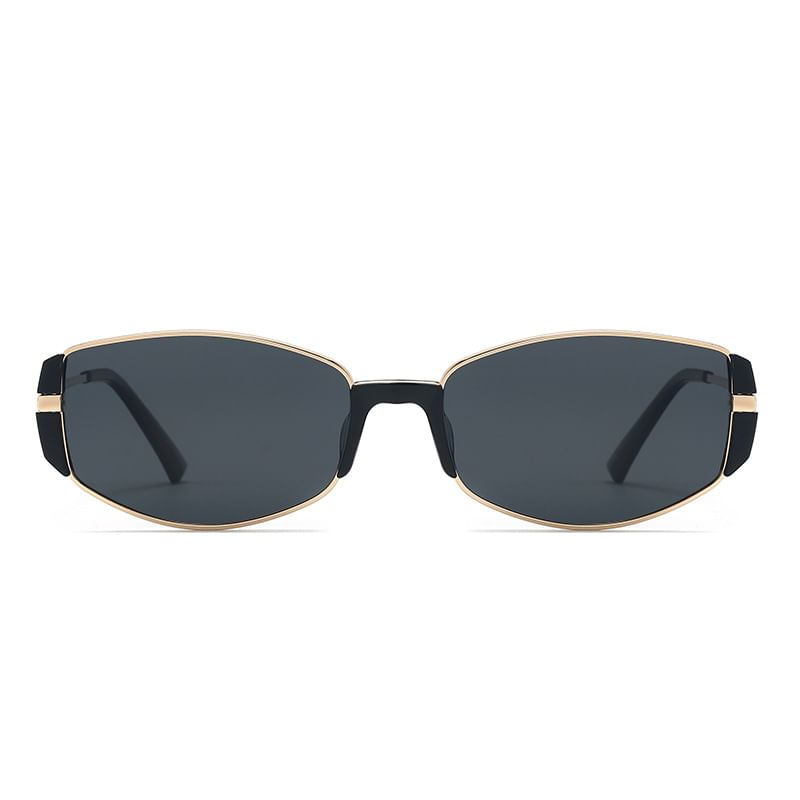Metal Sunglasses Panel