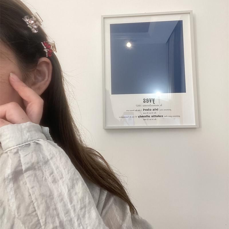 Pearl Rhinestone Claw Hair Faux Acrylic