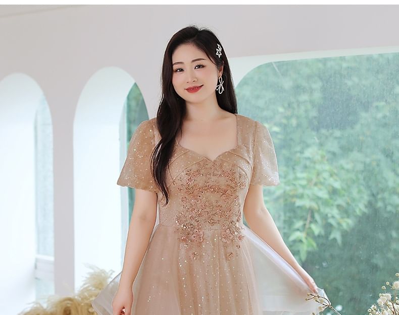 A-Line Gown Size Evening Short-Sleeve Plus Mesh