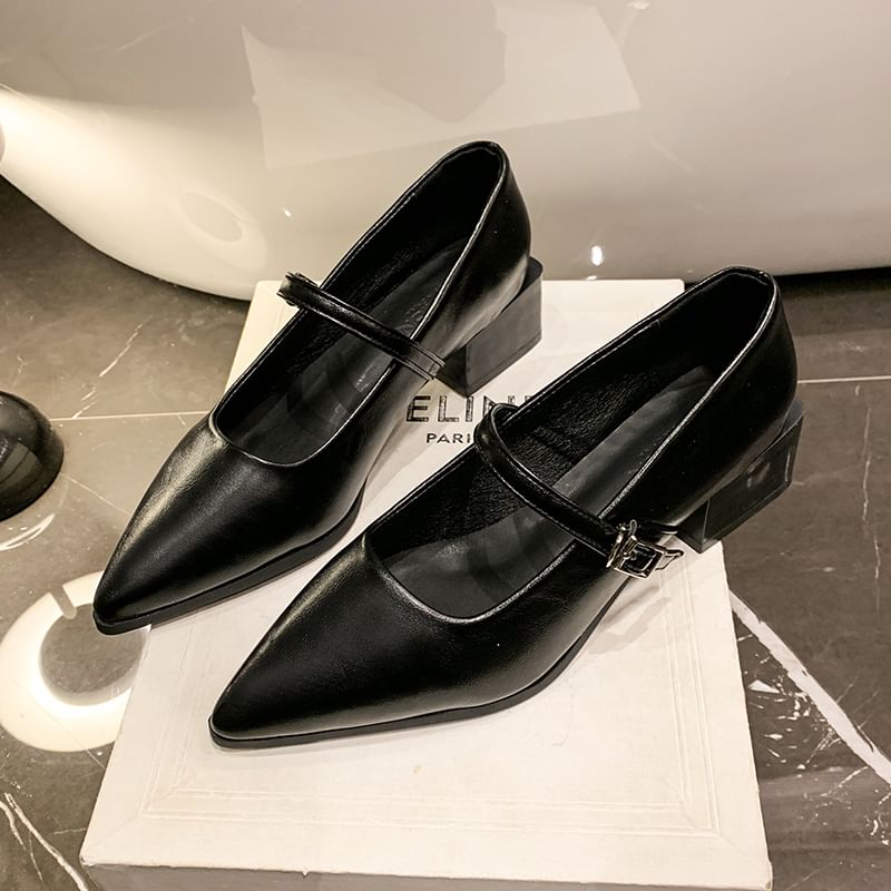 Jane Shoes Heel Mary Pointy Chunky
