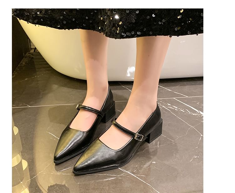 Jane Shoes Heel Mary Pointy Chunky