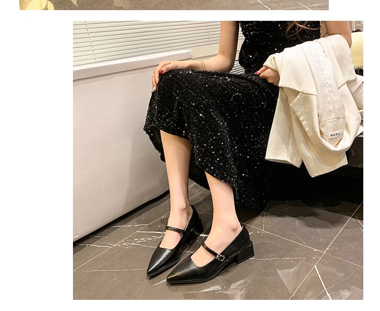 Jane Shoes Heel Mary Pointy Chunky