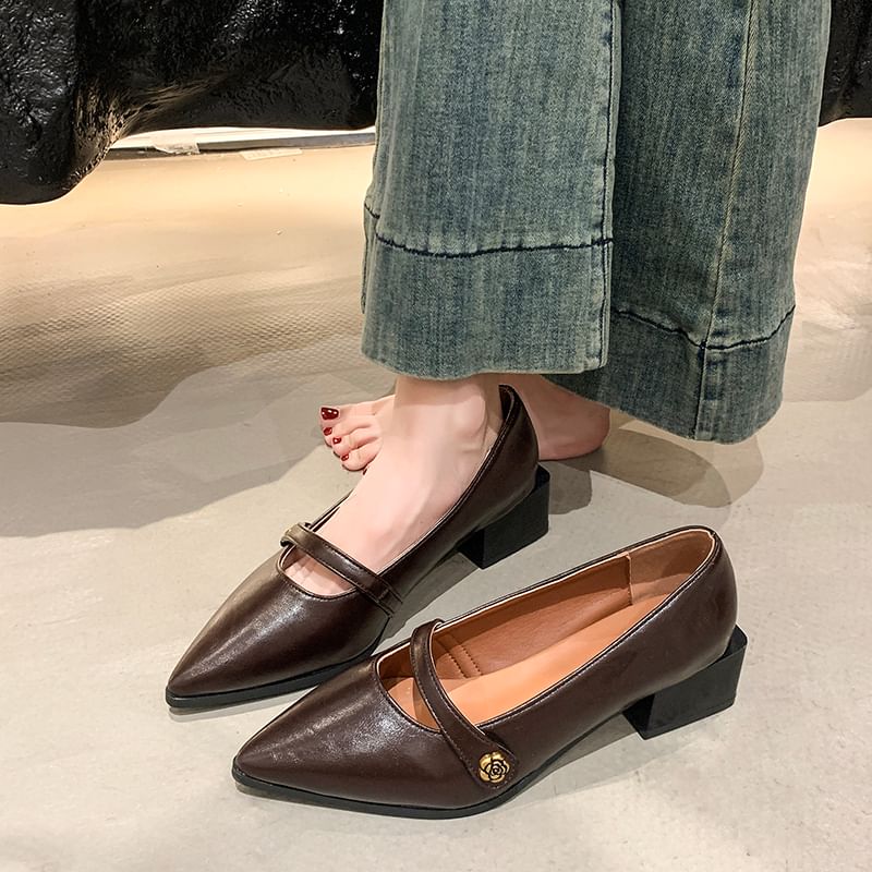 Chunky Mary Pointy Heel Shoes Jane