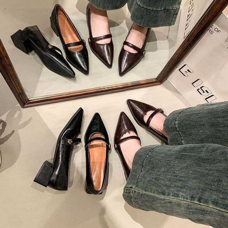 Chunky Mary Pointy Heel Shoes Jane