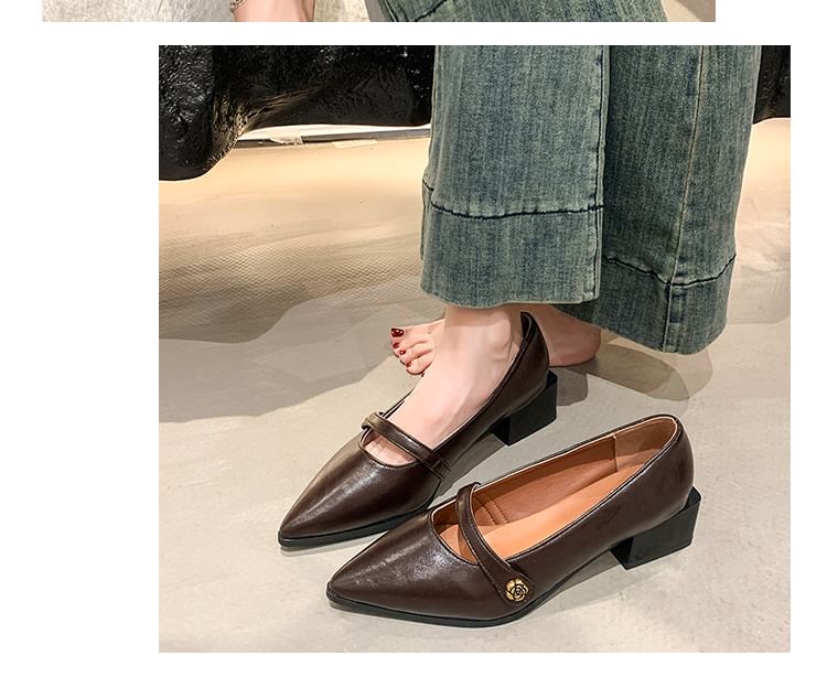 Chunky Mary Pointy Heel Shoes Jane