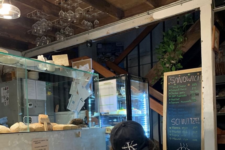 Sleeve Ruffle Blouse Plain Round Long Neck