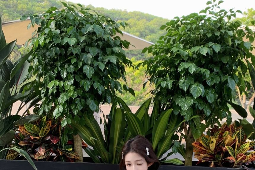 Shirred Strap A-Line Mini Floral Print Spaghetti Dress