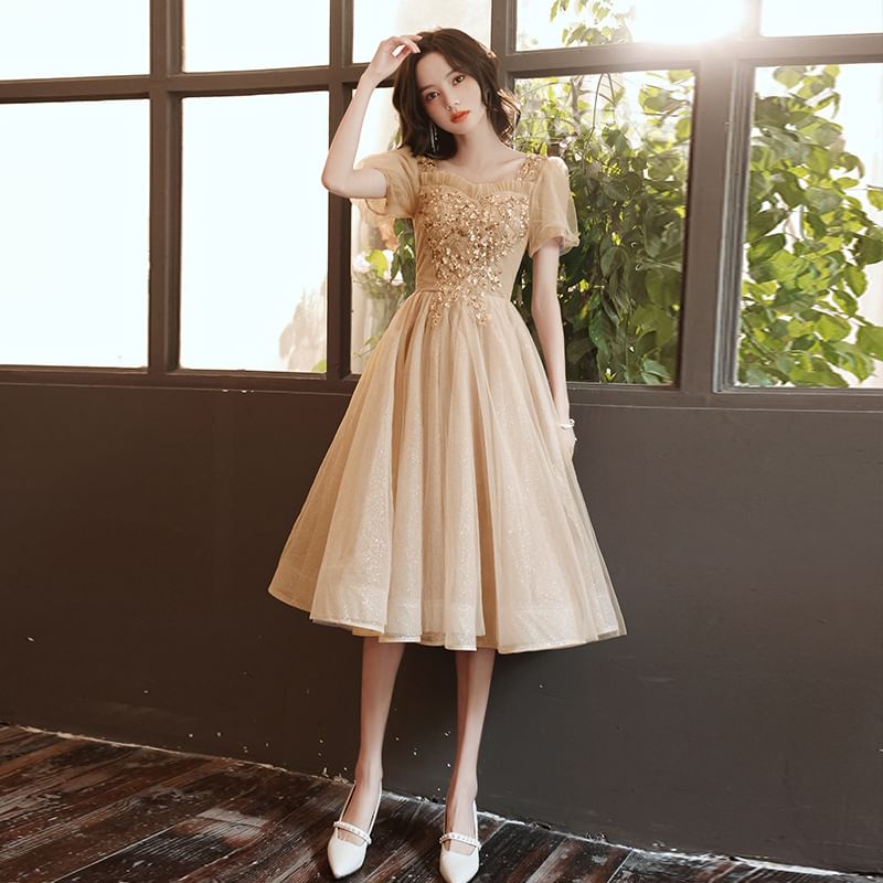 / Sequin Midi Evening A-Line Short-Sleeve Mesh Gown Dress