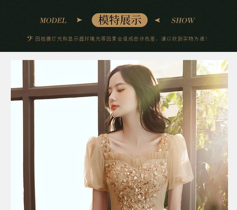 / Sequin Midi Evening A-Line Short-Sleeve Mesh Gown Dress