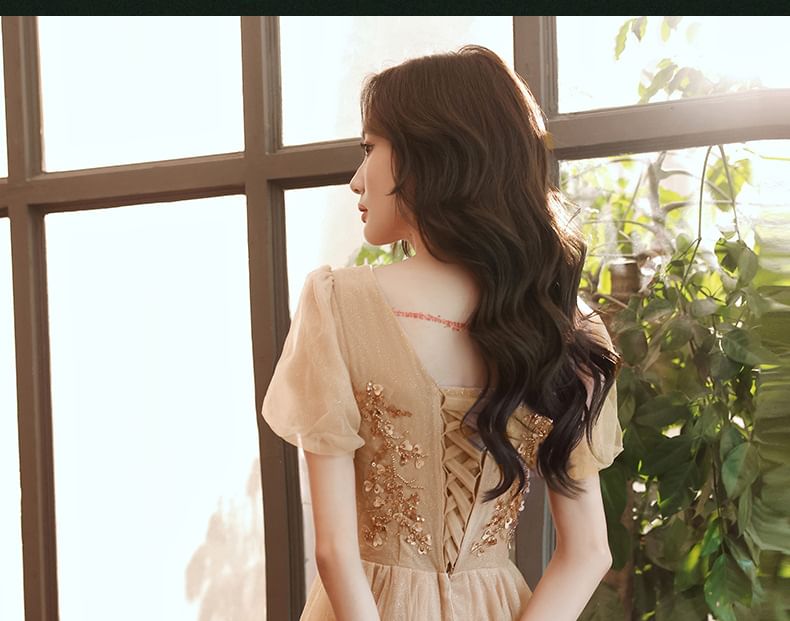 / Sequin Midi Evening A-Line Short-Sleeve Mesh Gown Dress