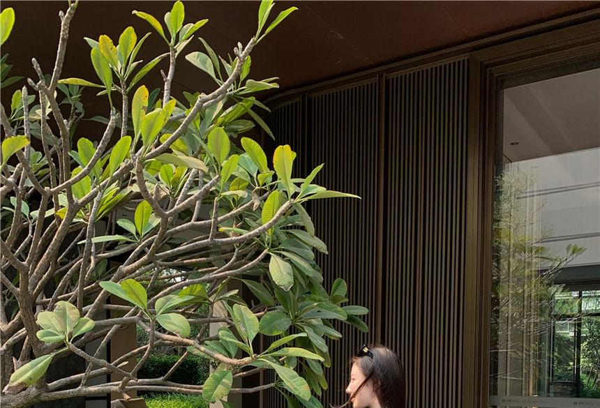 Short-Sleeve Tee Slim Crop Fit Neck Mock Maxi Skirt Mid Plain Waist / A-Line