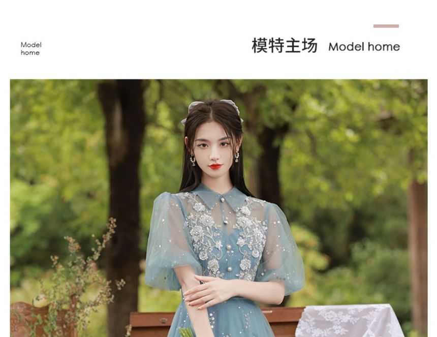 Puff-Sleeve Collar Embroidered Flower Evening A-Line Gown Sequin