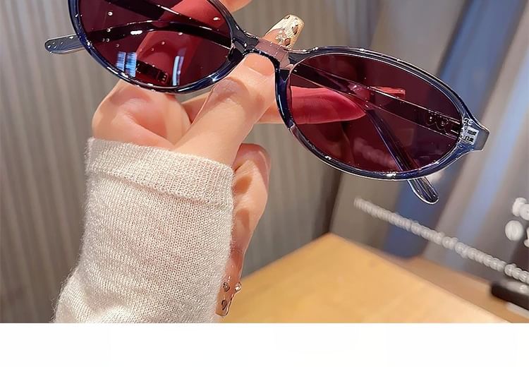 Cleaning Set Frame Oval Cloth Plastic Case Sunglasses Pouch /