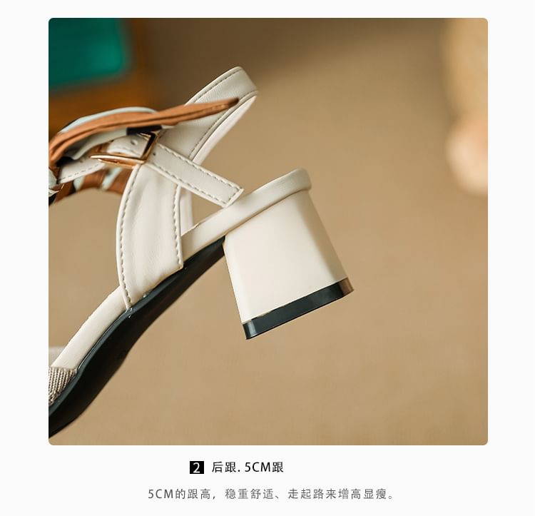 Heel Chunky Sandals Pointed