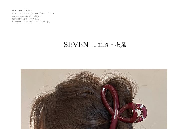 Acrylic Claw Hair Clip