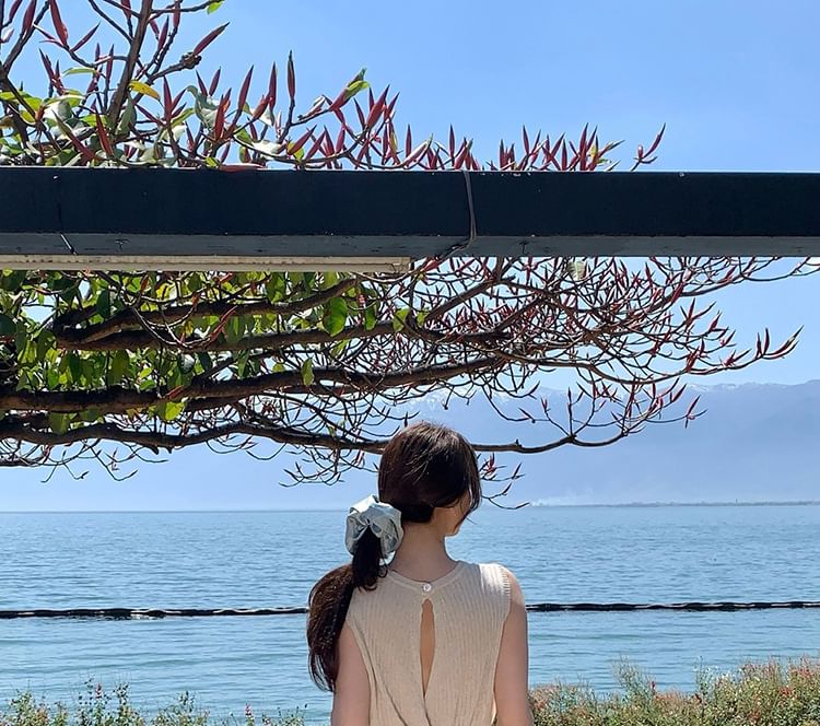 Top Crew Plain Sleeveless Knit Neck Ribbed