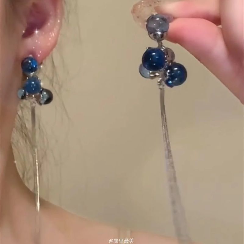 Drop Earring Fringe Beaded