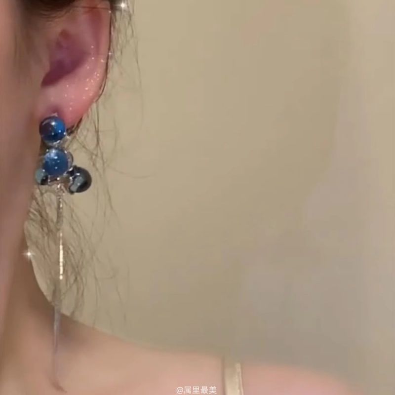 Drop Earring Fringe Beaded