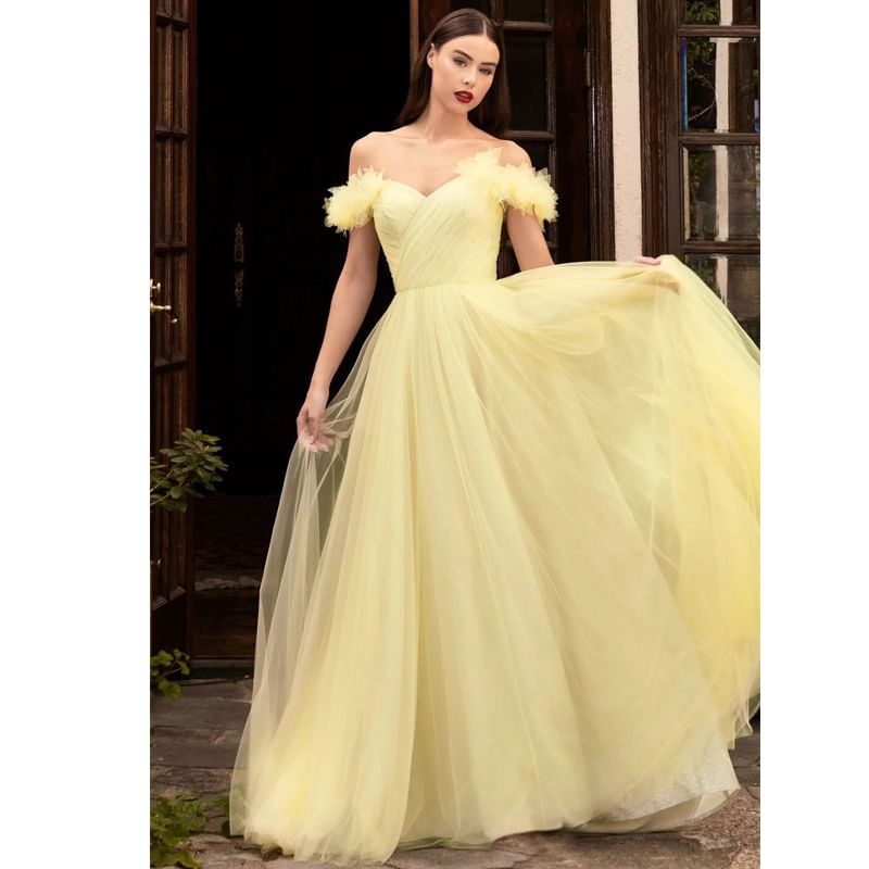 Panel Evening Plain Gown Off Sheer Shoulder