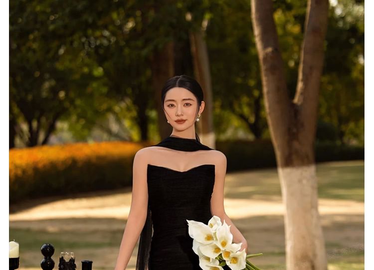 Mesh Plain Gown Tube Evening Sheath