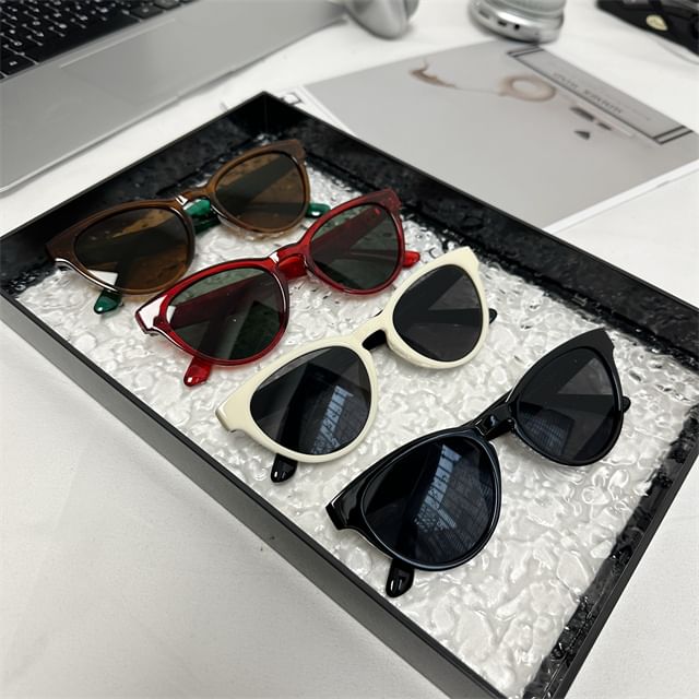 Eye Plain Cat Sunglasses