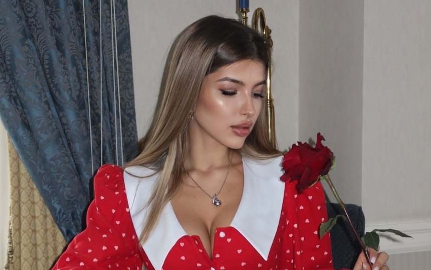 Collar A-Line Dress Contrast Ruffle Button-Up Mini Hem Long-Sleeve