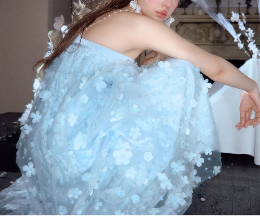 A-Line Sleeveless Sheer Evening Gown