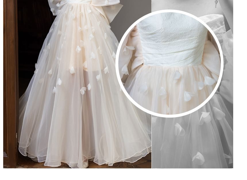 Overlay Sheer Evening Strapless Gown A-Line