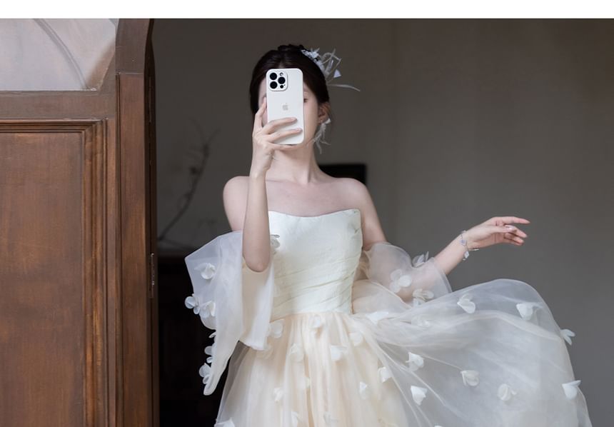 Overlay Sheer Evening Strapless Gown A-Line