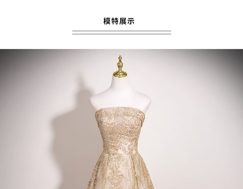 Evening Beaded A-Line Tube Gown Mesh