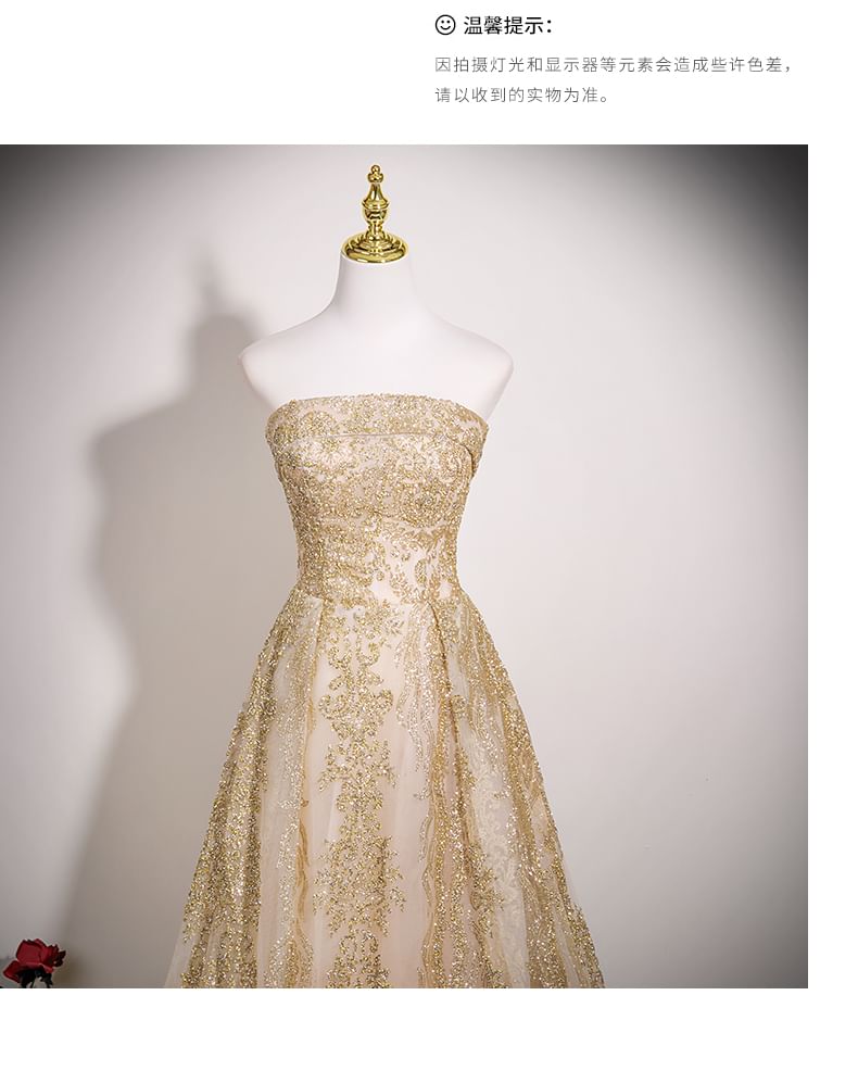 Evening Beaded A-Line Tube Gown Mesh