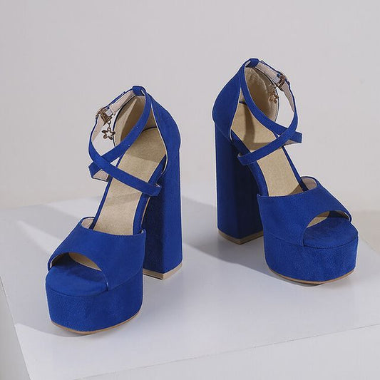 Sandals Platform Strap Heel Ankle Chunky